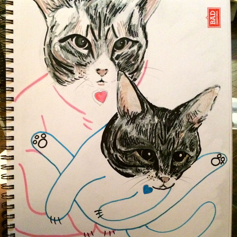 Pet drawings of two cats for Bad Drawings Asheville NC caricatures